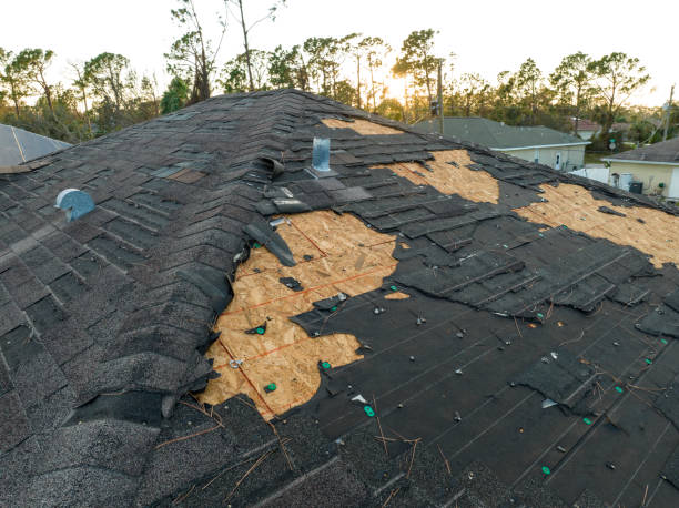 Trusted Meadow Lakes, AK Roofing service Experts